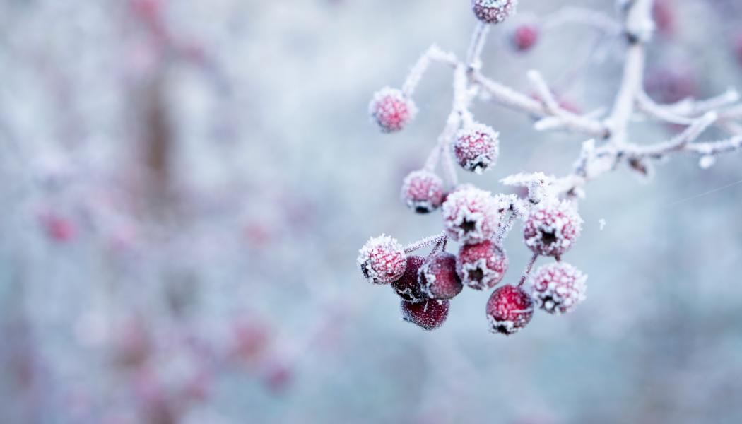 Foto: Galina N/Unsplash