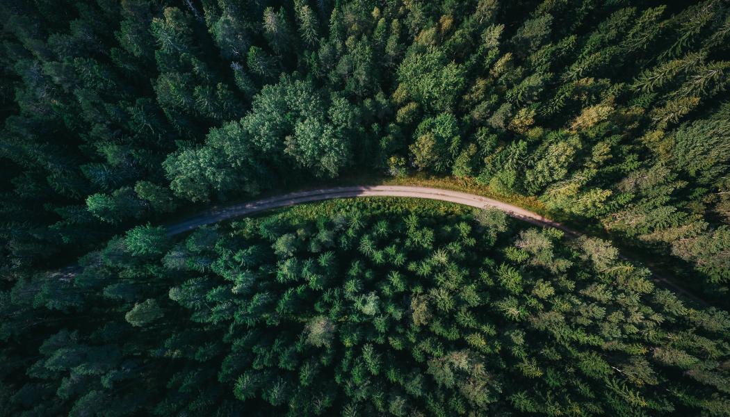 Foto: Geran de Klerk/Unsplash