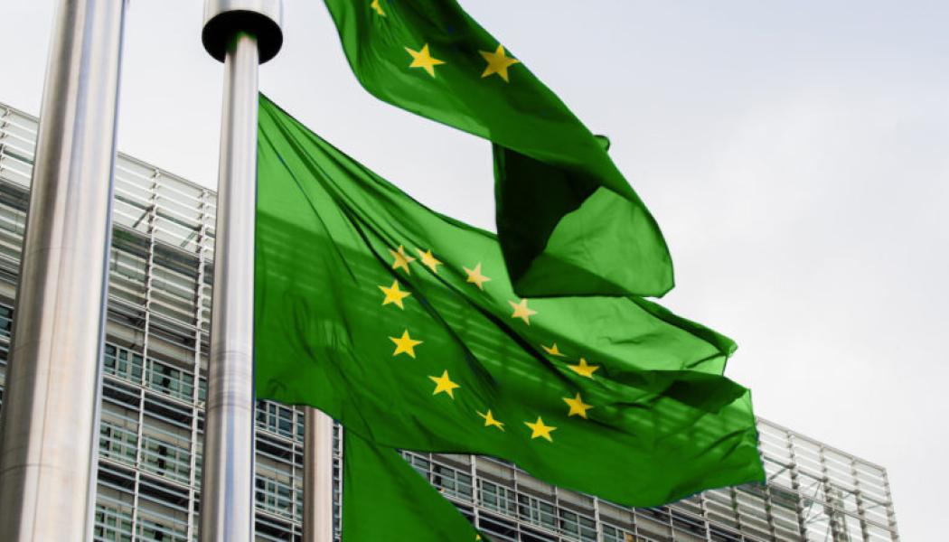 Bild på grön EU flagga.