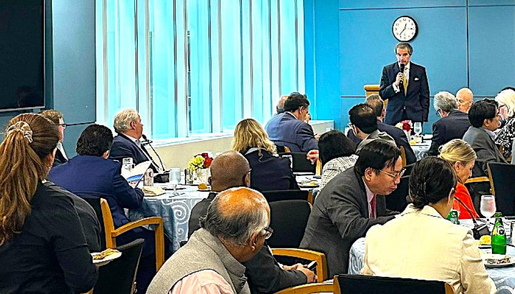 Enligt IAEA överväger eller påbörjar cirka 30 länder utveckla kärnkraft. Av dessa länder omkring två tredjedelar utvecklingsländer där finansiering fortfarande är en stor utmaning. Foto: D. Candano Laris/IAEA)
