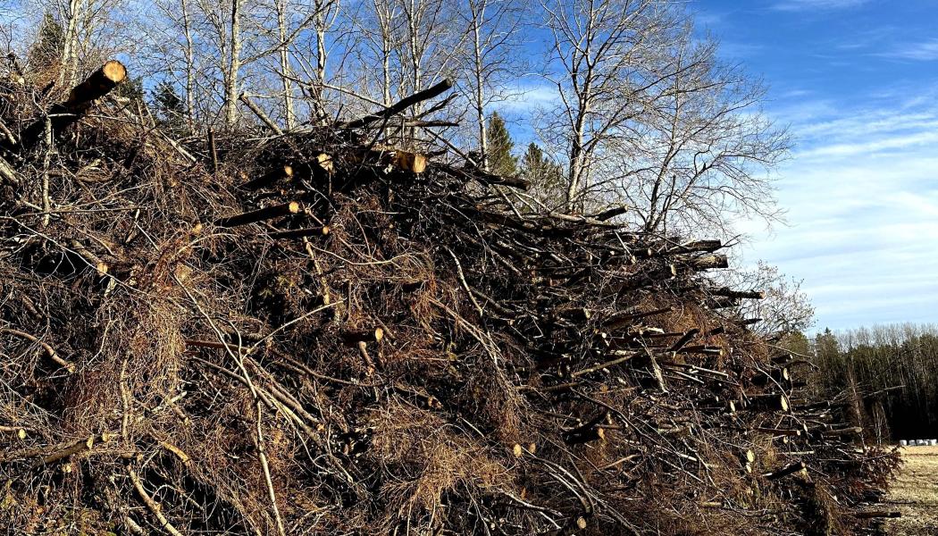 Regeringen föreslår nu en utredning kring de systemnyttor som kraft- och fjärrvärmen tillför elsystemet. Foto: Joline Ekman