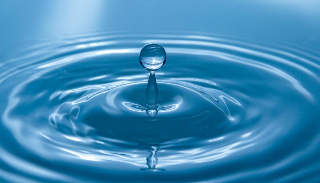 Foto: Herbert Goetsch/Unsplash