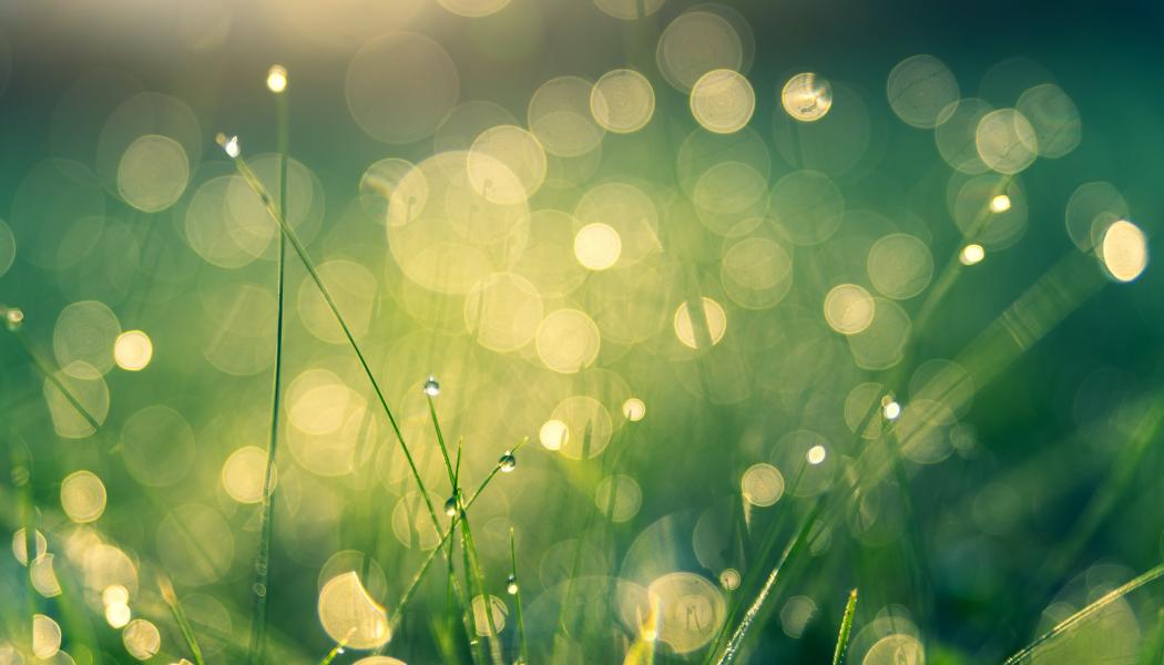 Foto: Johannes Plenio/Unsplash