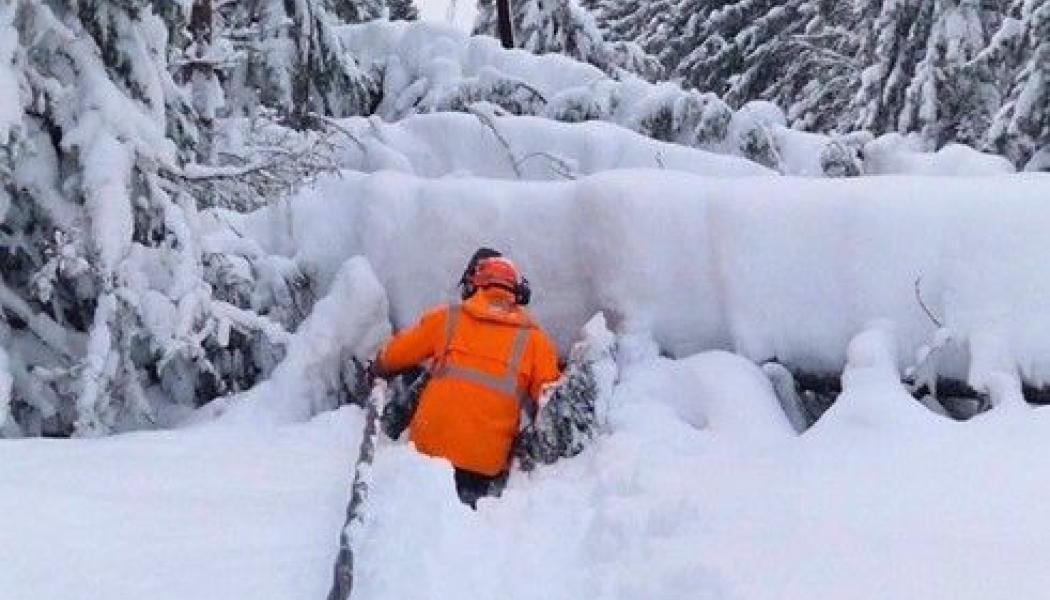 Bild på man som snöröjer elledning. Bild: Svenska kraftnät