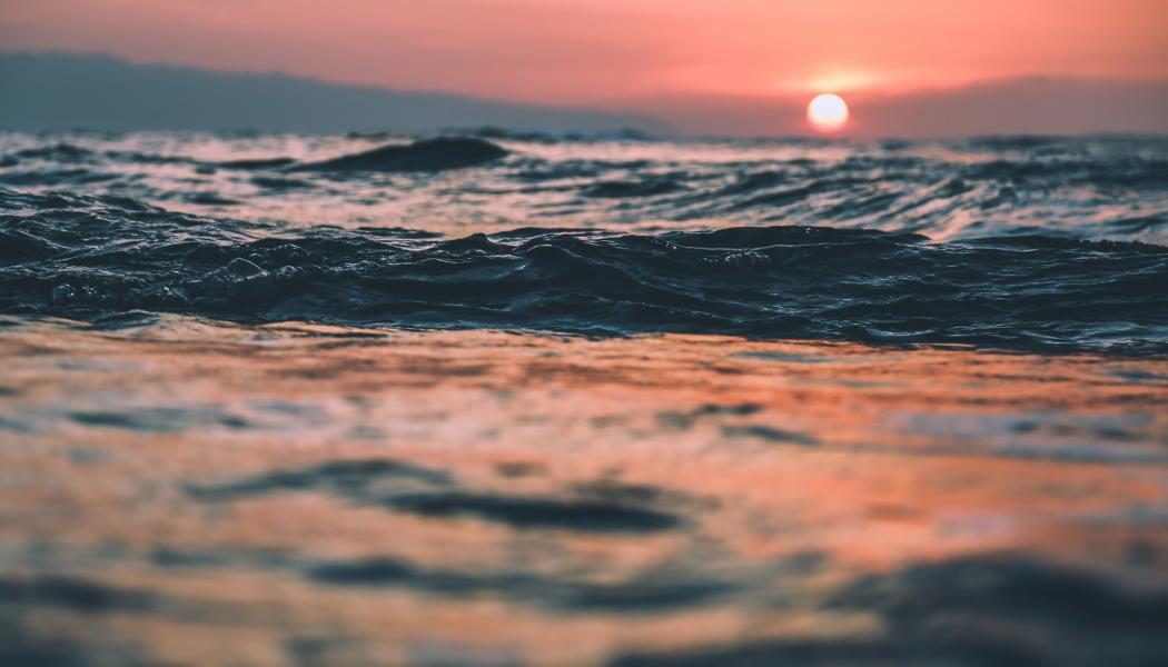 Foto: Jp Fischman/Unsplash