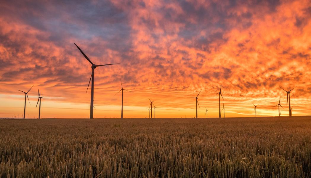Enorma satsningar på vindkraft har försatt Europa i ett hopplöst energipolitiskt läge och bäddat för Rysslands angreppskrig mot Ukraina, skriver Bjørn Lomborg.
Foto: Karsten Würth/Unsplash