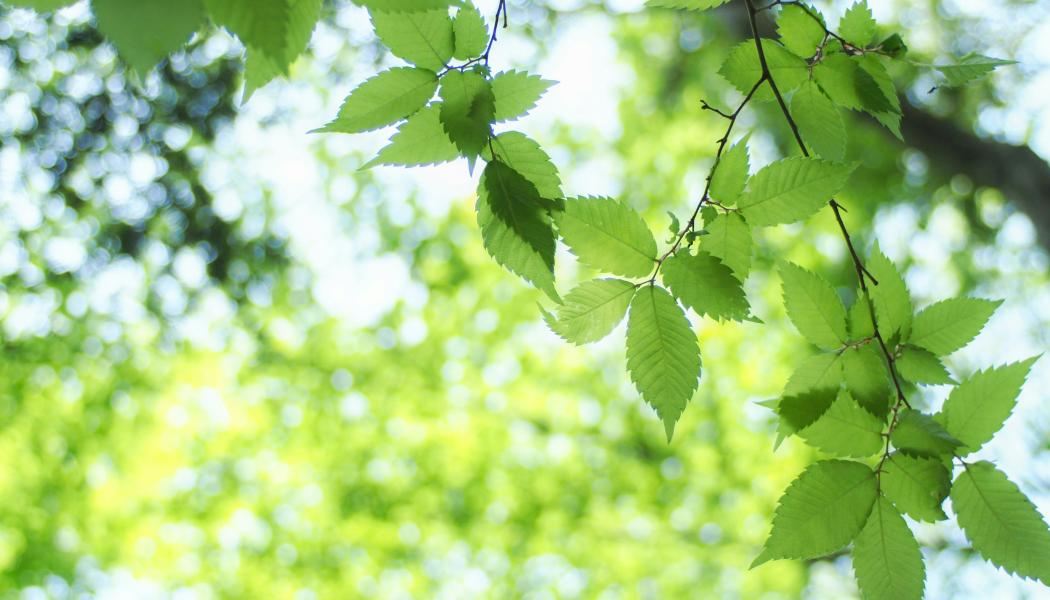 Foto: Kumiko SHIMIZU / Unsplash 