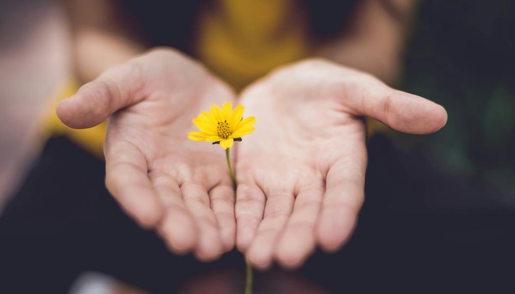 Foto: Lina Trochez / Unsplash