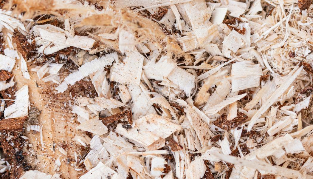 Sågspån. Foto:  Marek Studzinski / Unsplash