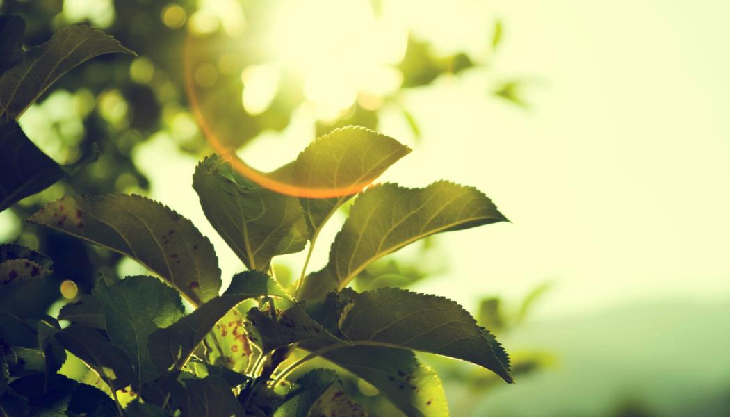 Foto: Micah Hallahan / Unsplash