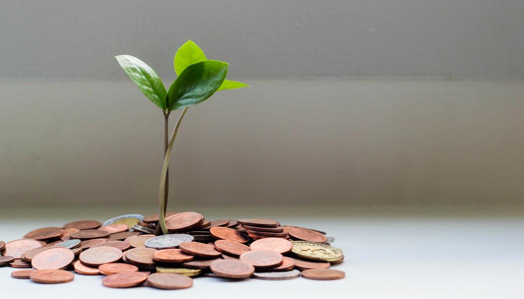 Foto: Micheile Henderson/Unsplash