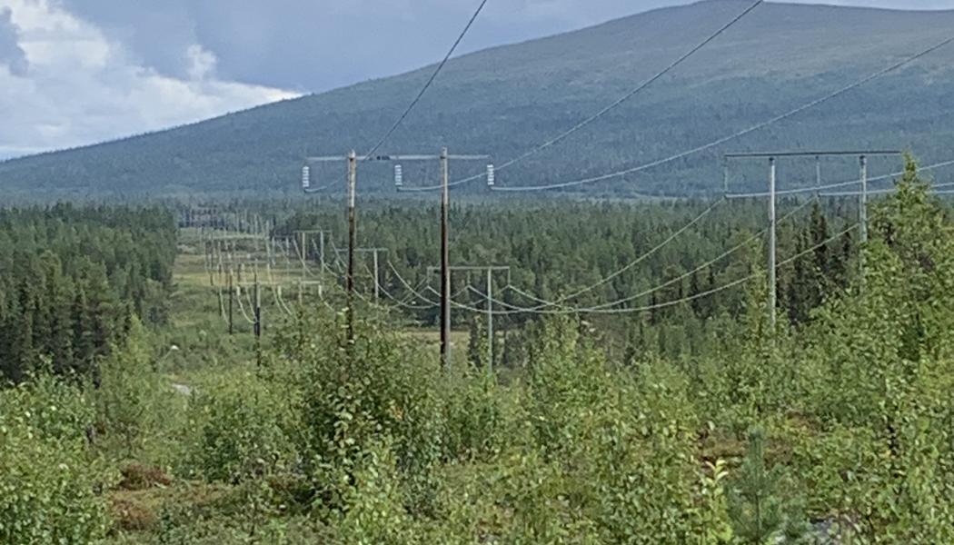 I ett inledningsskede ska NCC tillsammans med Svenska kraftnät färdigställa projekteringen och planeringen för kommande utbyggnad av en 400 kilovolts elledning. Foto: NCC