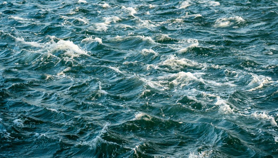 Foto:  Nick Fewings / Unsplash