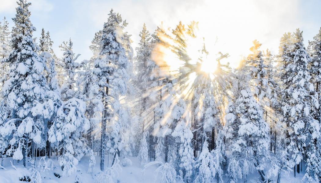 Foto: Niklas Jonasson/Unsplash