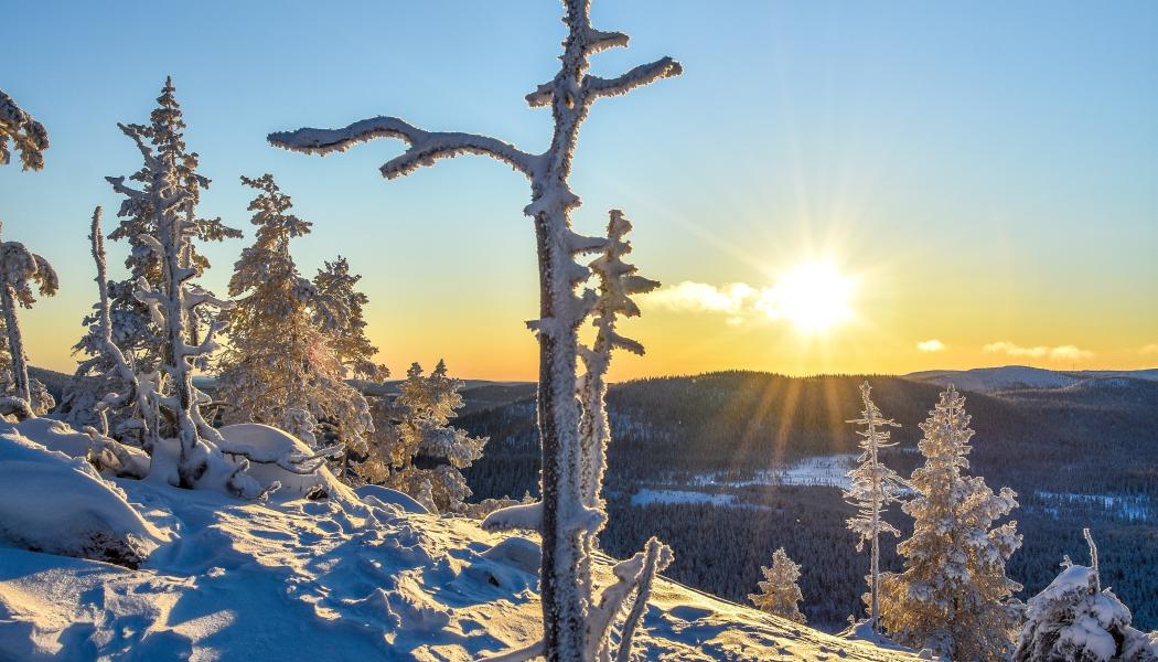 Foto: Niklas Jonasson/Unsplash