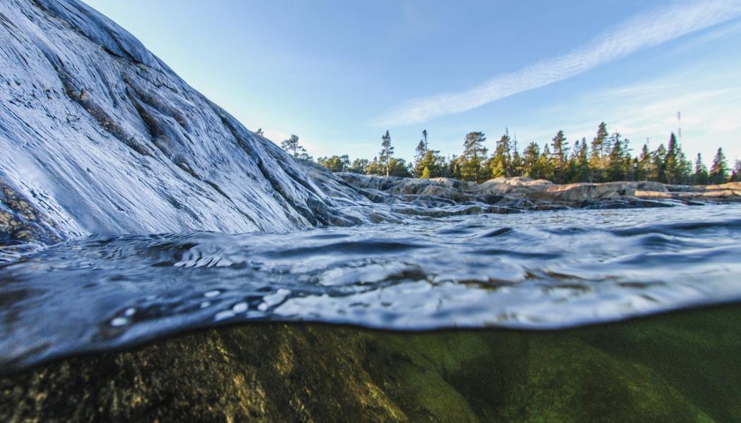 Foto: Niklas Jonasson/Unsplash