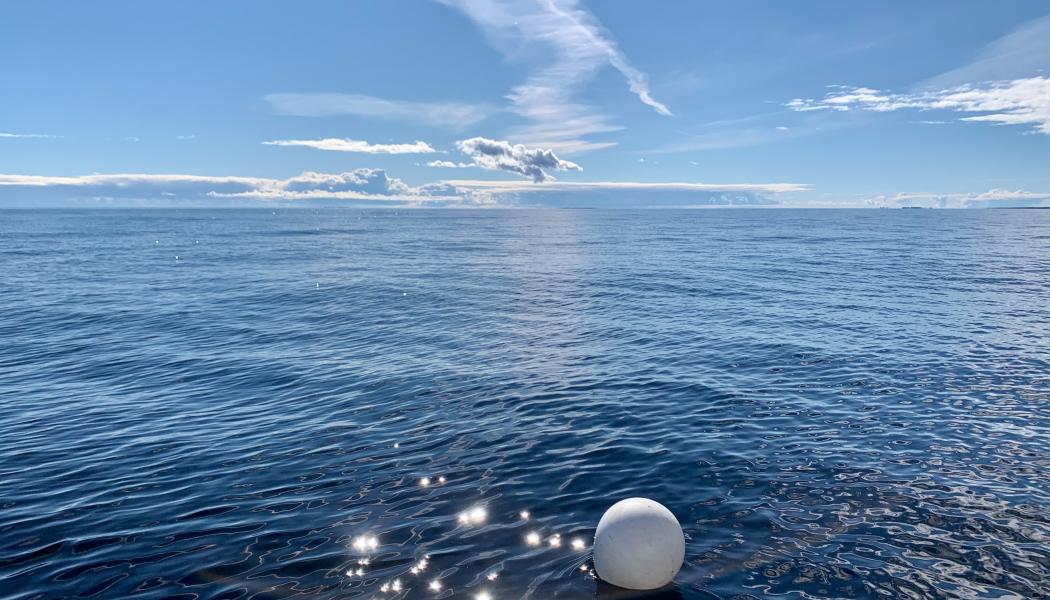 Foto: Niklas Jonasson/Unsplash