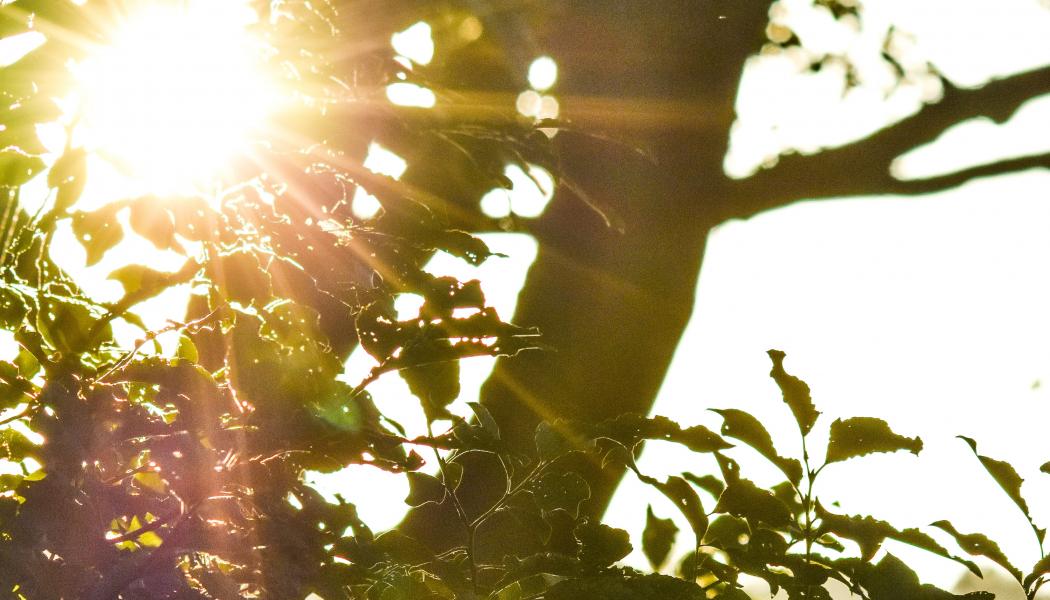 Foto: Niklas Jonasson/Unsplash