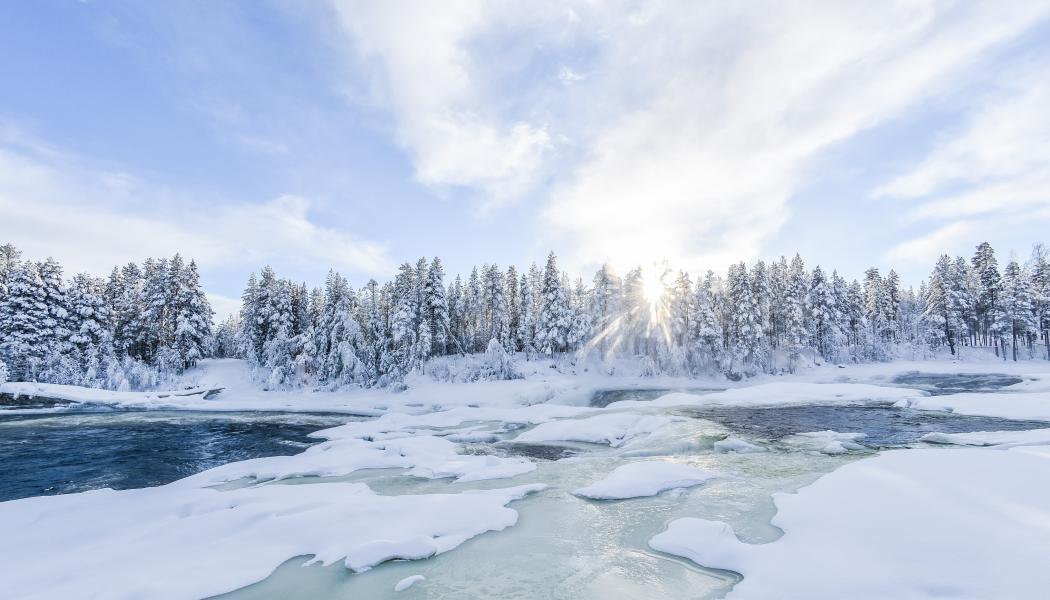Foto: Niklas Jonasson/Unsplash