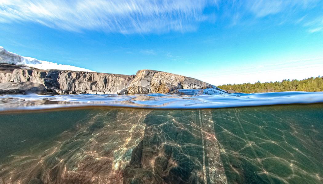 Foto: Niklas Jonasson/Unsplash