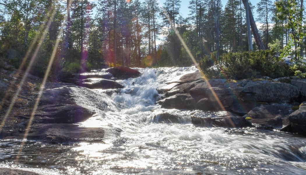 Foto: Niklas Jonasson/Unsplash