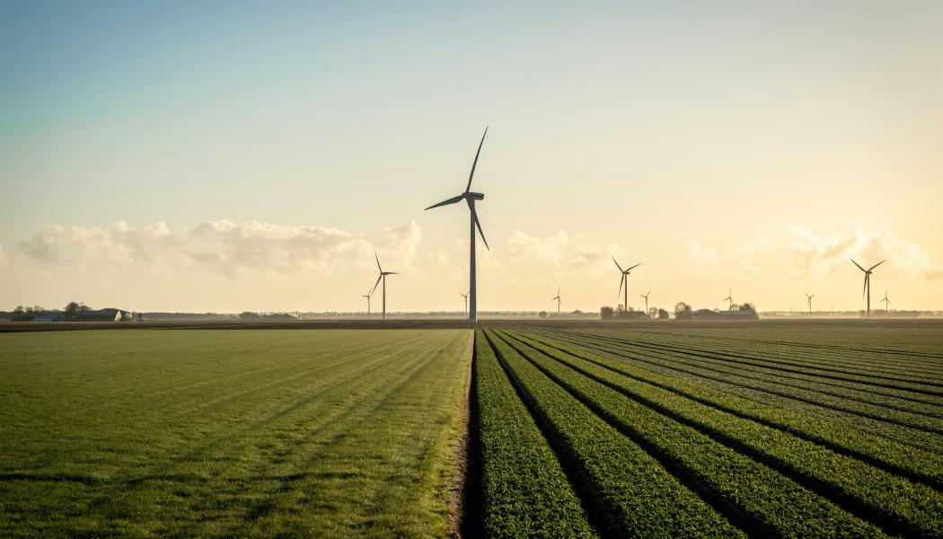 Foto: Peter Beukema / Unsplash 