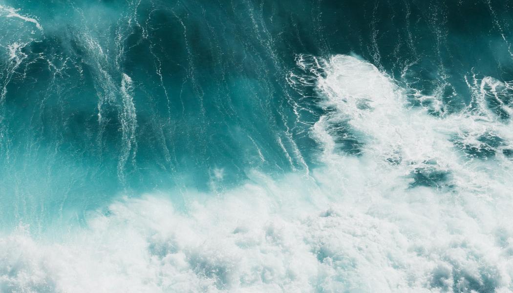 Foto: Polina Kuzovkova / Unsplash