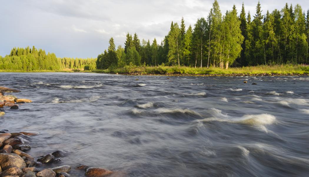 
Svevia förstärker dammkonstruktion vid Tåsjö i Jämtland. Foto: Mikael Svensson/Johnér