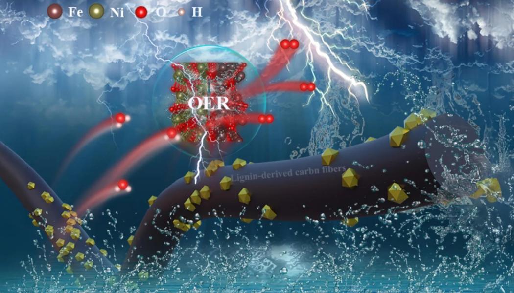 Kolfibrer framställda av lignin, laddade med NiO/Fe3O4 för att främja syrgasutvecklingsreaktionen. Foto: Xuezhi Zeng, Yutao Pan, Yi Qi, Yanlin Qin och Xueqing Qiu.