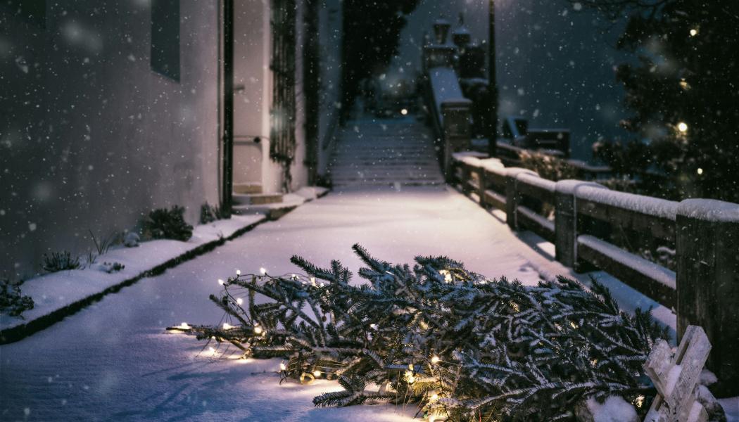 Foto: Simon Berger / Unsplash