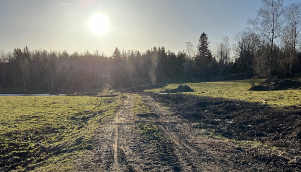 Vid platsen för den planerade gruvan i Västra Kärr. Foto: Jönköping University