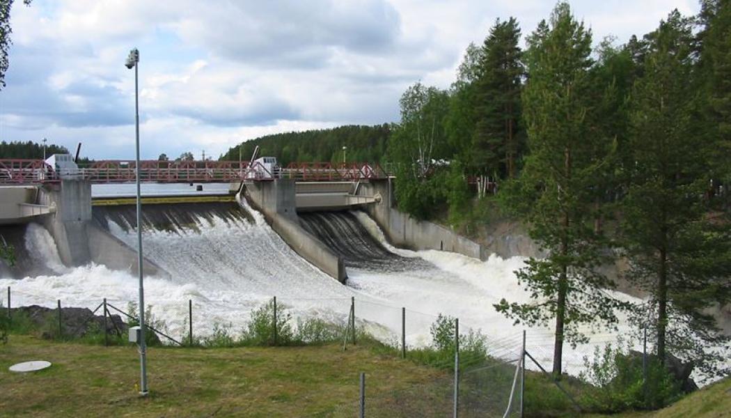 Foto: Jenny Fahlgren