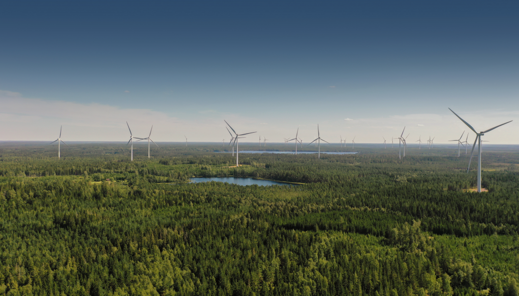 Lönsamheten för vindkraften måste förbättras menar Dan Sten Olsson. Foto: SR Energys vindkraftpark i Tvinnesheda.