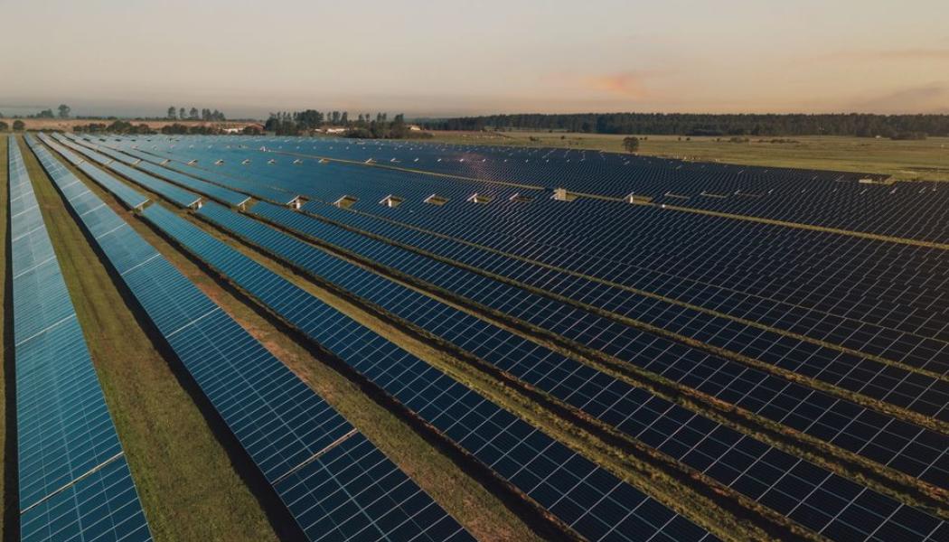 Svea Solars solpark i Sjöbo.Foto: Svea Solar