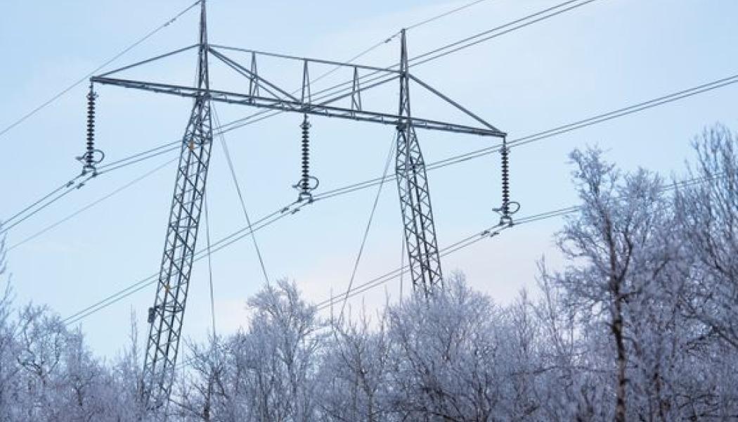 – I slutändan stärker investeringarna förutsättningarna för ett mer tillförlitligt och flexibelt elsystem, säger Anna Isenberg, programledare på Svenska kraftnät. Foto: Tomas Ärlemo