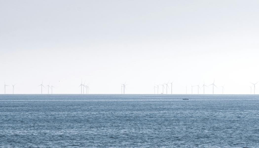 Foto: Theodor Vasile / Unsplash
