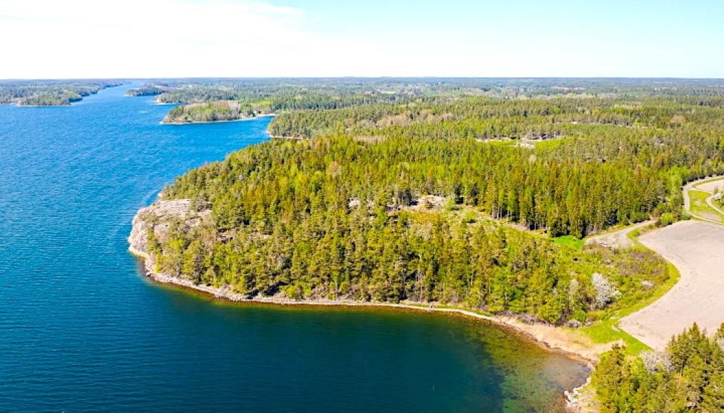 Föreslagen plats för en SMR-anläggning i Valdemarsvik. Foto: Latona Group)