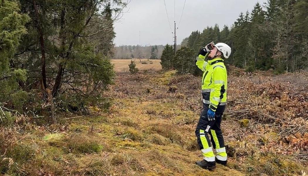 Vattenfall röjer 6 000 fotbollsplaner skog varje år