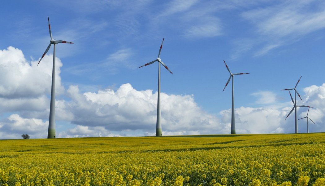 Mellan 2020 och 2023 har 1 258 vindkraftverk stoppats av det kommunala vetot. Arkivbild