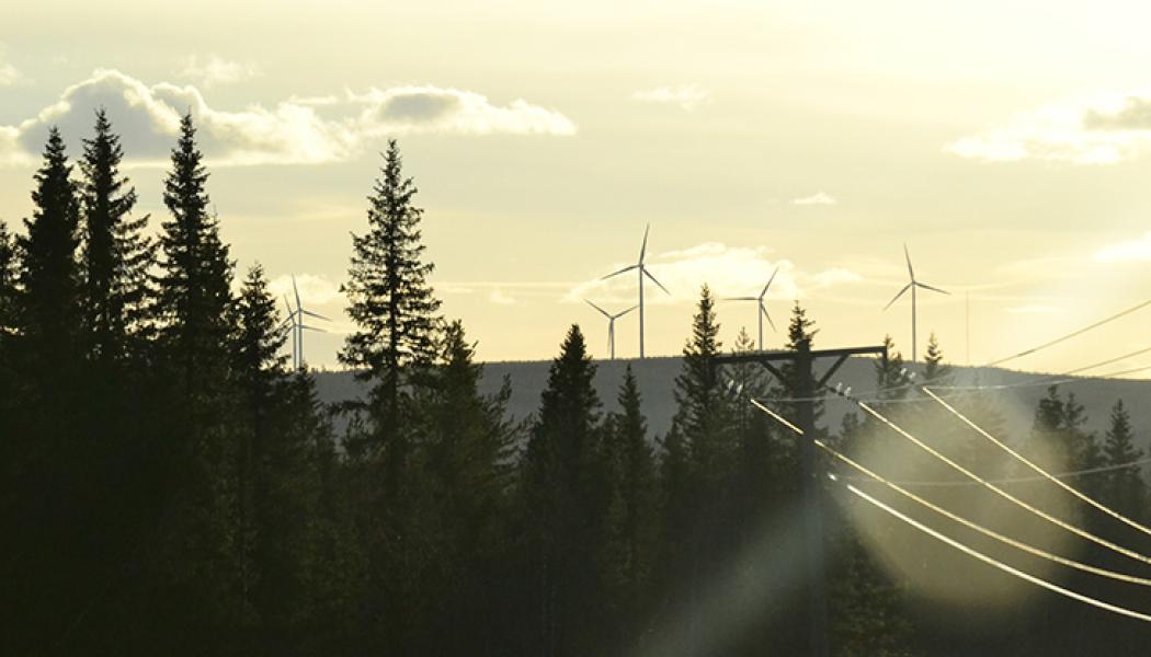 Foto: Uppvidinge kommun