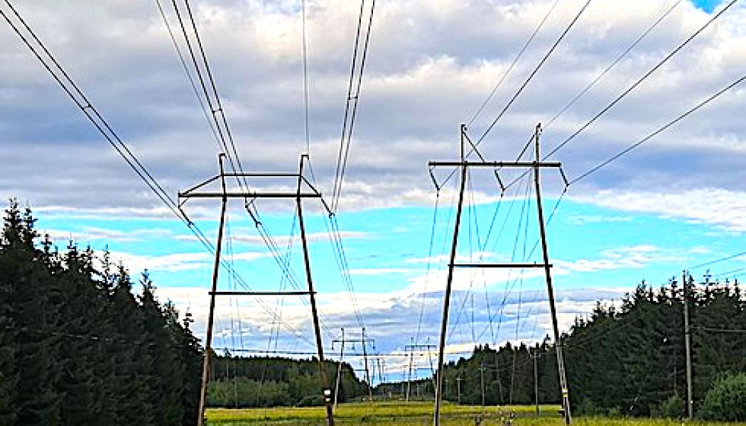 Finske eksperter er bekymret for overfloden av strøm