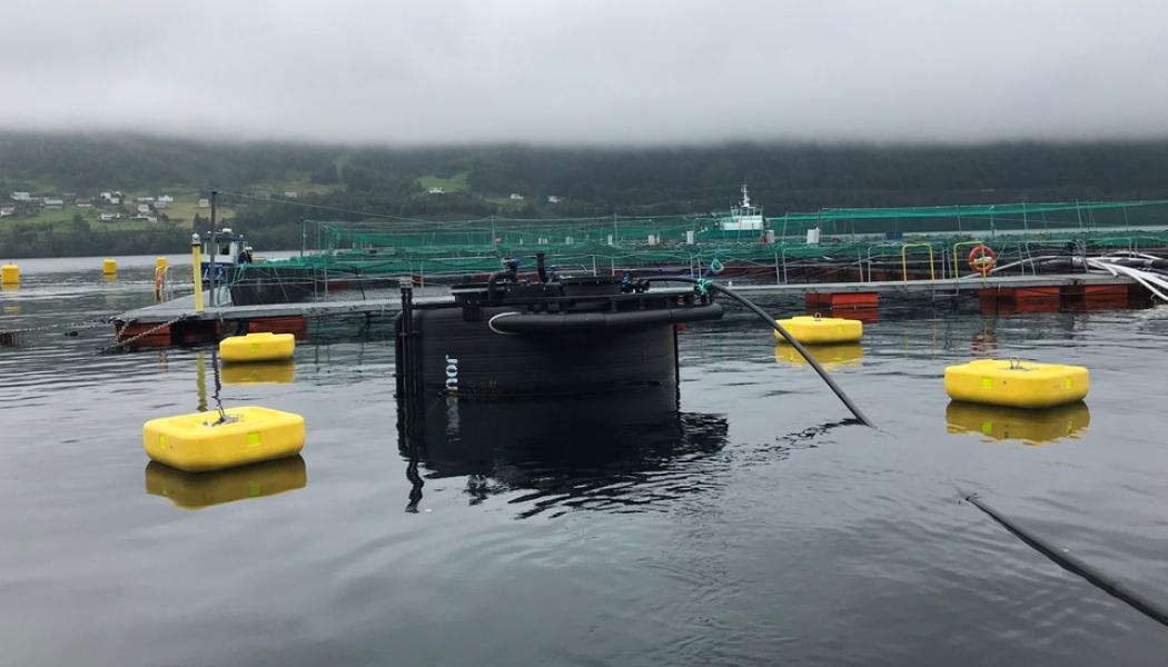 Rapporten från PwC visar att potentialen för slammet från Norges fiskodling är betydligt större än vad som hittills varit känt. Foto: Ragnsells