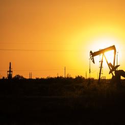 Eli Hartman: WTI-oljan faller i pris. Arkivbild.