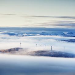 Foto: Fredric Alm