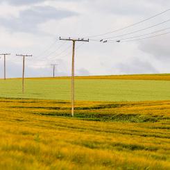 Symbolbild: Creative Commons lic.