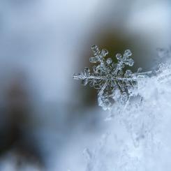 Foto: Aaron Burden/Unsplash