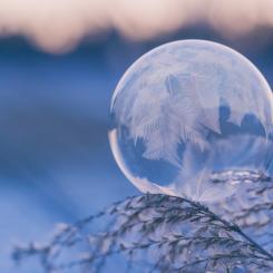 Foto: Aaron Burden/Unsplash