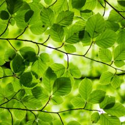 Foto: Unsplash