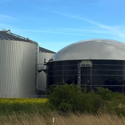 Inhemsk produktion av biodrivmedel ger Sverige ökad tillväxt och fler gröna jobb, stärkt konkurrenskraft menar BioDriv Öst. Arkivbild