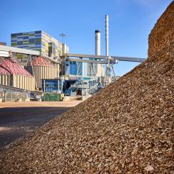Träspill från skog och rivning bidrar till planerad energi i Mälarenergis kraftvärmeverk. Bild: Pia Nordlander.